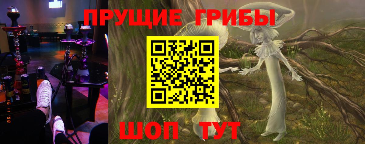 Зерноград  Галлюциногенные грибы Psilocybine cubensis  Галлюциногенные грибы Psilocybine cubensis  Вход с VPN 